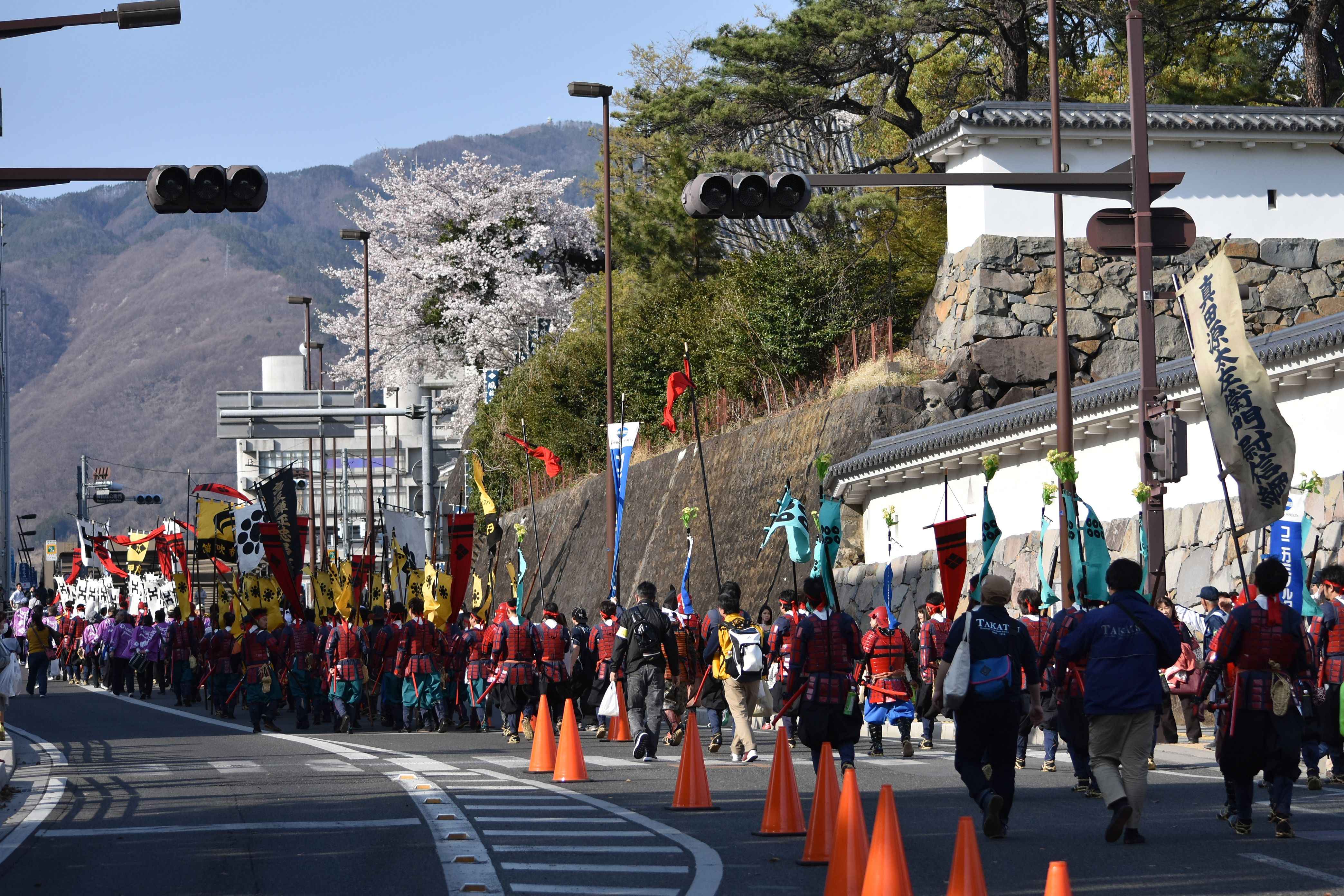 🏯 고후 성터 (마이즈루 성 공원) 이미지 8